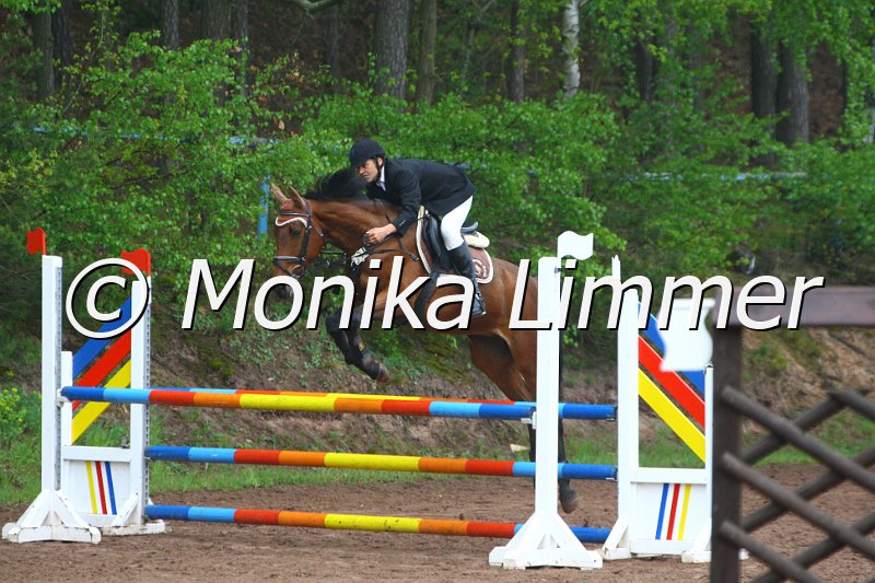 005L4698_Los Angeles_Springpferde A xx.JPG